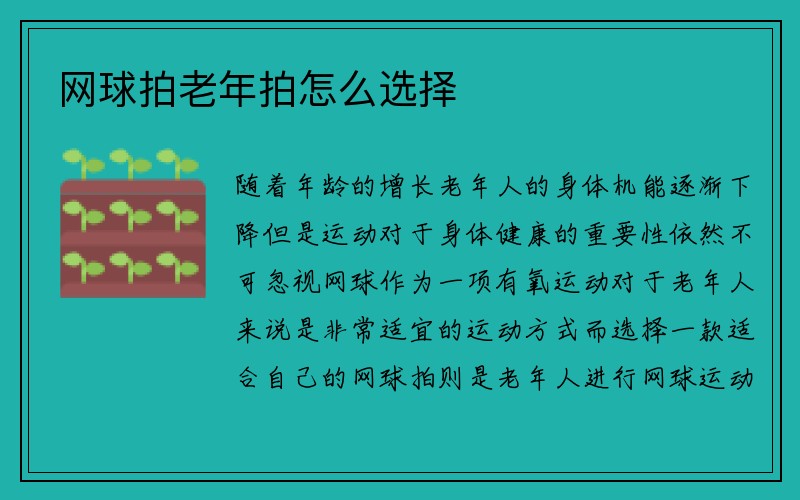 网球拍老年拍怎么选择