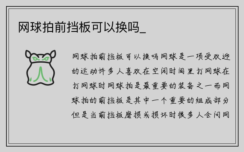 网球拍前挡板可以换吗_